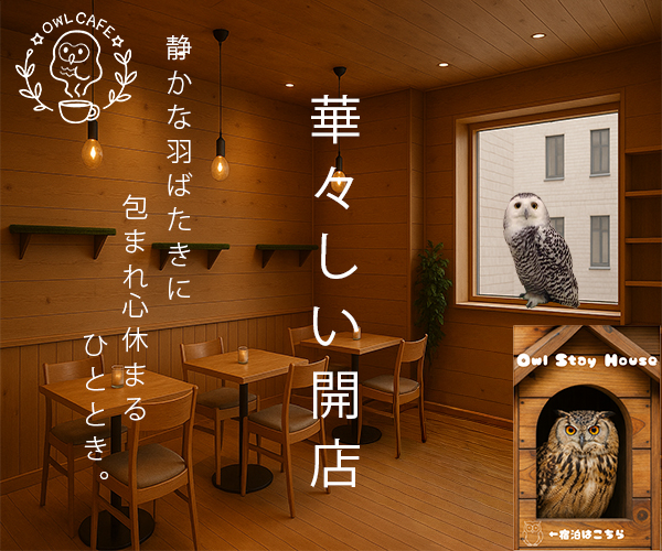 Owl Café 華々しい開店 - 静かな羽ばたきに包まれ心休まるひととき。
