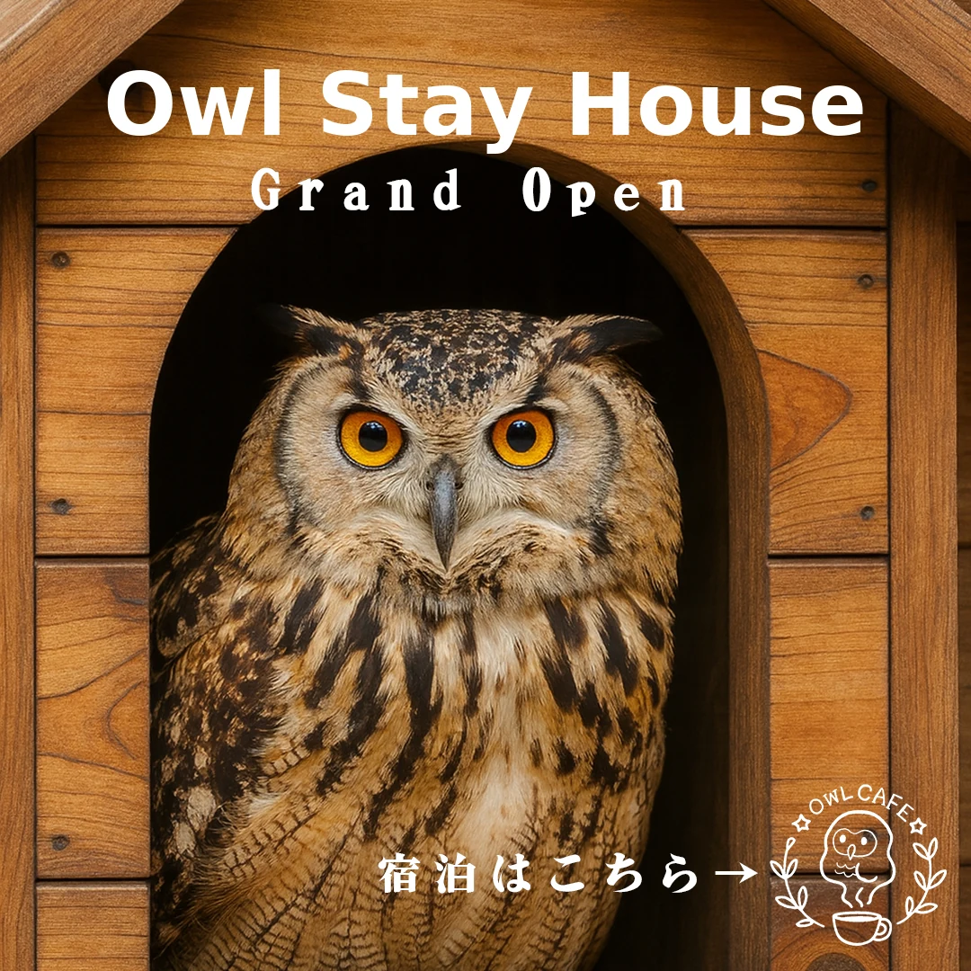 Owl Stay House - Grand Open | 宿泊はこちら